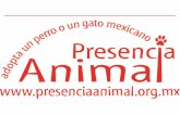 Presencia Animal Plan 100 Español