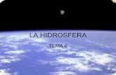 Tema 6 La Hidrosfera