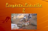 Proyecto pre nike 2