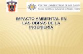 Manuel (impacto ambiental exposicion) (2)