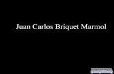 Juan Carlos Briquet Marmol Naturaleza