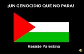 Lucha Palestina
