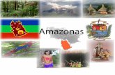Amazonas Tania Akkari  9A