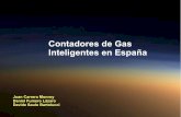 Contadores Inteligentes de Gas en España - Resumen - EVAECOP