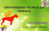 Nutrición Animal (vitaminas)