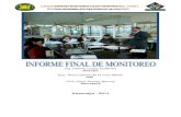 2011 informe final monitoreo