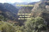 Mollebamba: De los climas de la tierra de los molles