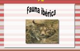 Fauna iberica