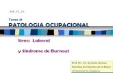 T 21 -aif-vi_ patologia ocupacional_stress_laboral-sindr