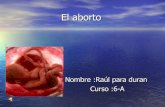 ppt El aborto Raúl