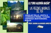 Las Regiones Del Peru