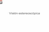 Vision estereoscopica