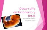 Desarrollo embrinoario y fetal