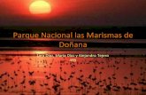 3 Parque Nacional Las Marismas De DoñAna