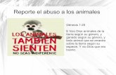 No al abuso de animales Que dice la biblia sobre el abuso a los animales.