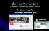 Santa hortensia para resis 2013