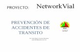 Proyecto Networkvial Carmen 2009