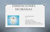 Dimenciones humanas