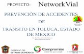 Proyecto Networkvial-Toluca 2010