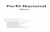 Networkvial: Estadisticas de seguridad vial Nacional Mexico 2008