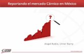 8 Angel Rubio URNER BARRY Reportando el Mercado Cárnico en México