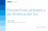 Perspectivas Globales y de América del Sur