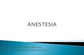 Importancia de la anestesiologia