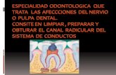Endodoncia nueva presentacion