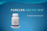 Forever Arctic Sea  en  Español