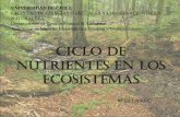 Ciclo de nutrientes en los ecosistemas