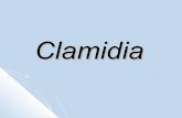 Clamidia 1194740625882320-2