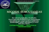 Micosis  subcutaneas 1