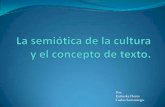 La semiótica de la cultura y el concepto