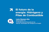 El futuro de_la_energia.hidrogeno_y_pilas_de_combustible