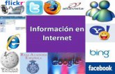 Constanza M.  Presentacion Internet.