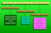 Principalespacios naturales protegidos