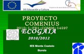 Proyecto   comenius