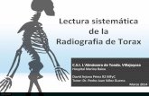 TELE TORAX: Lectura basica radiografia de torax