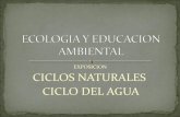 Ecologia y educacion ambiental exposicion