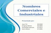 Nombres Comerciales e Industriales (Presentacion)