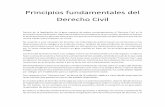 Principios fundamentales del derecho civil material acto jurídico-examen ext