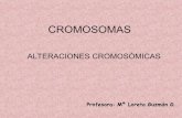 Cromosomas clase profesora Maria Loreto