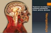 Introducción a los Trastornos neurológicos: afasia, apraxia y agnosia