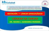 Cáncer de Cuello Uterino y Gestación   Dr. Mario J. Gamarra Paredes
