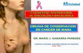 Cirugía de Conservación en Cáncer de Mama   IIICIGO110916 v