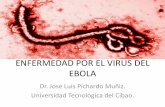 Enfermedad por el virus del ebola