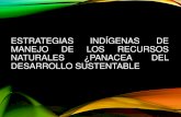 Estrategias indígenas de manejo de los recursos naturales