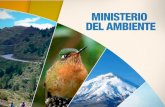 Enlace Ciudadano Nro 309 tema: ministerio del ambiente