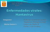 Enfermedades Virales: Virus Hanta