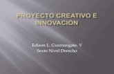 Proyecto creativo e innovación UTI 2011